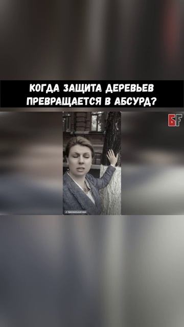 Когда защита деревьев превращается в абсурд?