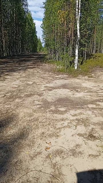 VID_20260821_124444[1]