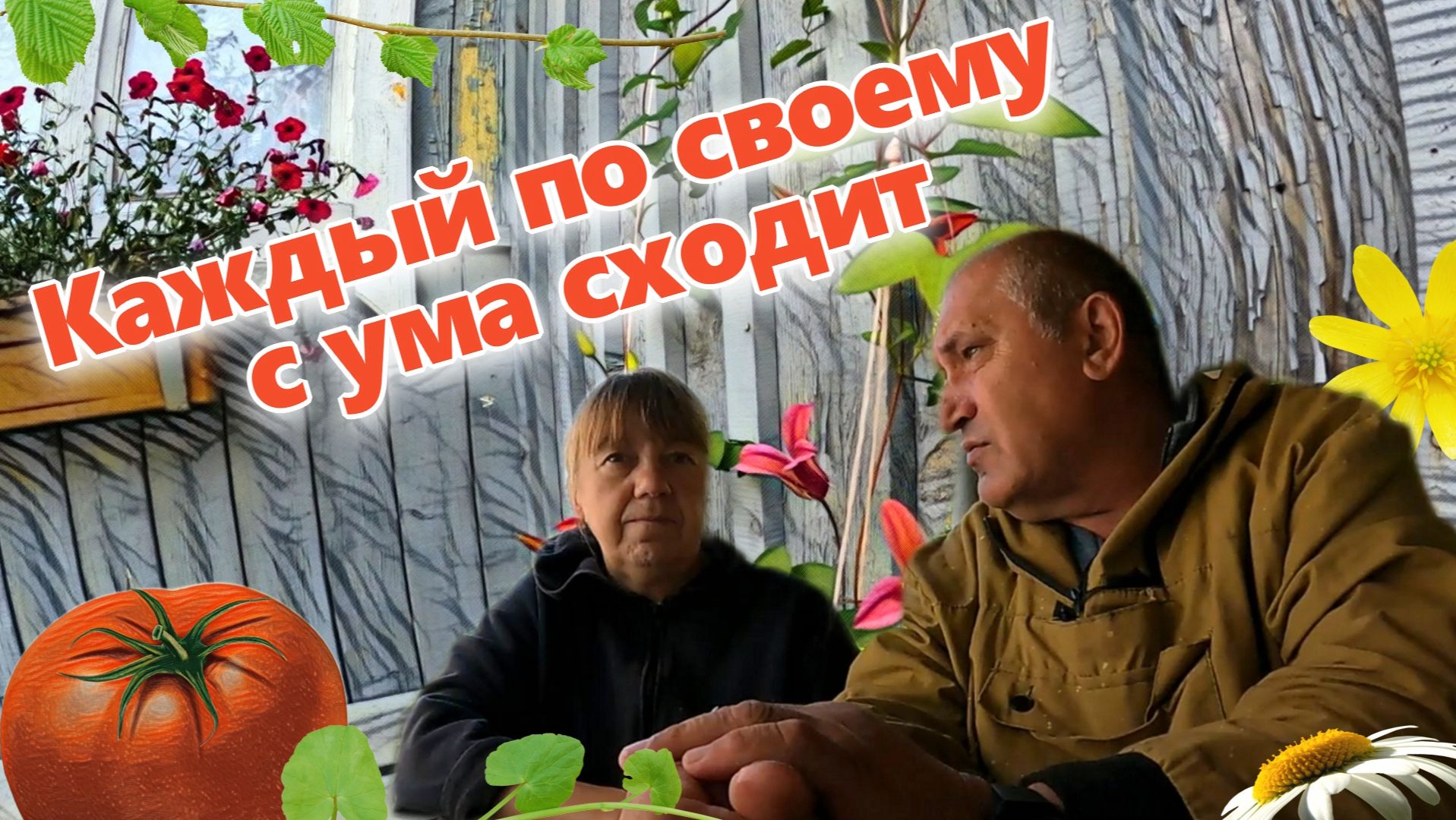 Каждый по своему с ума сходит Томатный рекорд