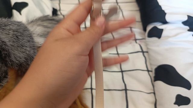 /MINT AUSSIE\\ ОБЗОР НА ВЕЩИ РОКСИ ✨🫶
СПАСИБО ЗА 192 ПОДПИСЧИКОВ 💗💗💗💗
И ЗА АКТИВ ❤❤❤