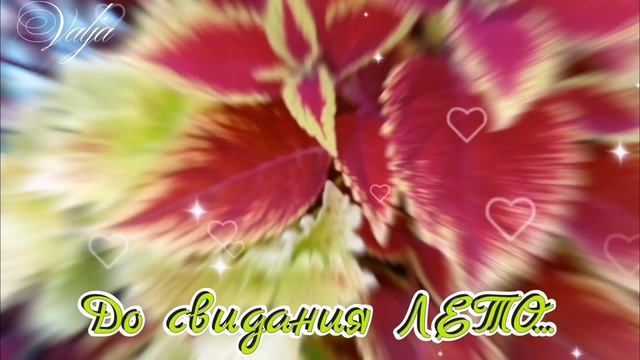 С последним днём ЛЕТА!!!🌳🦋🐝🐞🪲🌼🌼🌼