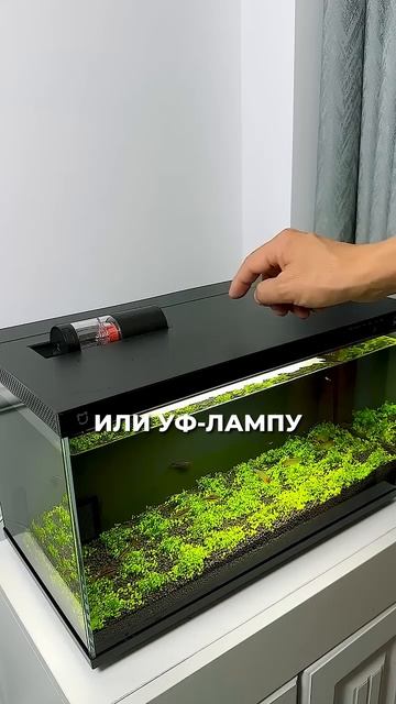 Этот аквариум спасет ваших рыбок