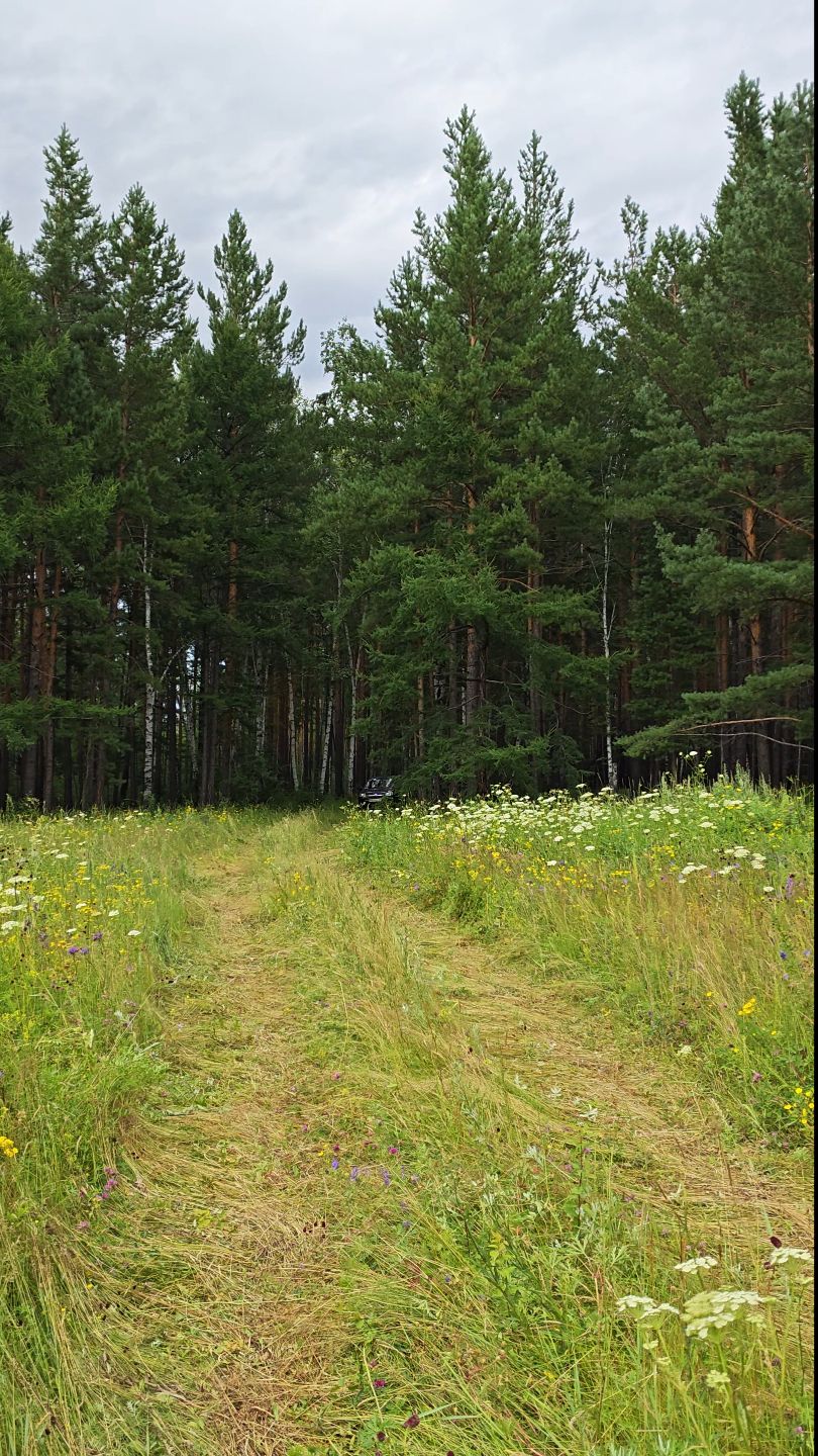 Забайкальский край, недалеко от села Кумахта