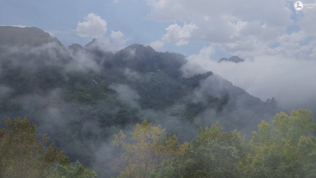 Заповедные места