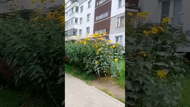 новый участник канала пристаёт бабка сняли её чуть не забрала камеру