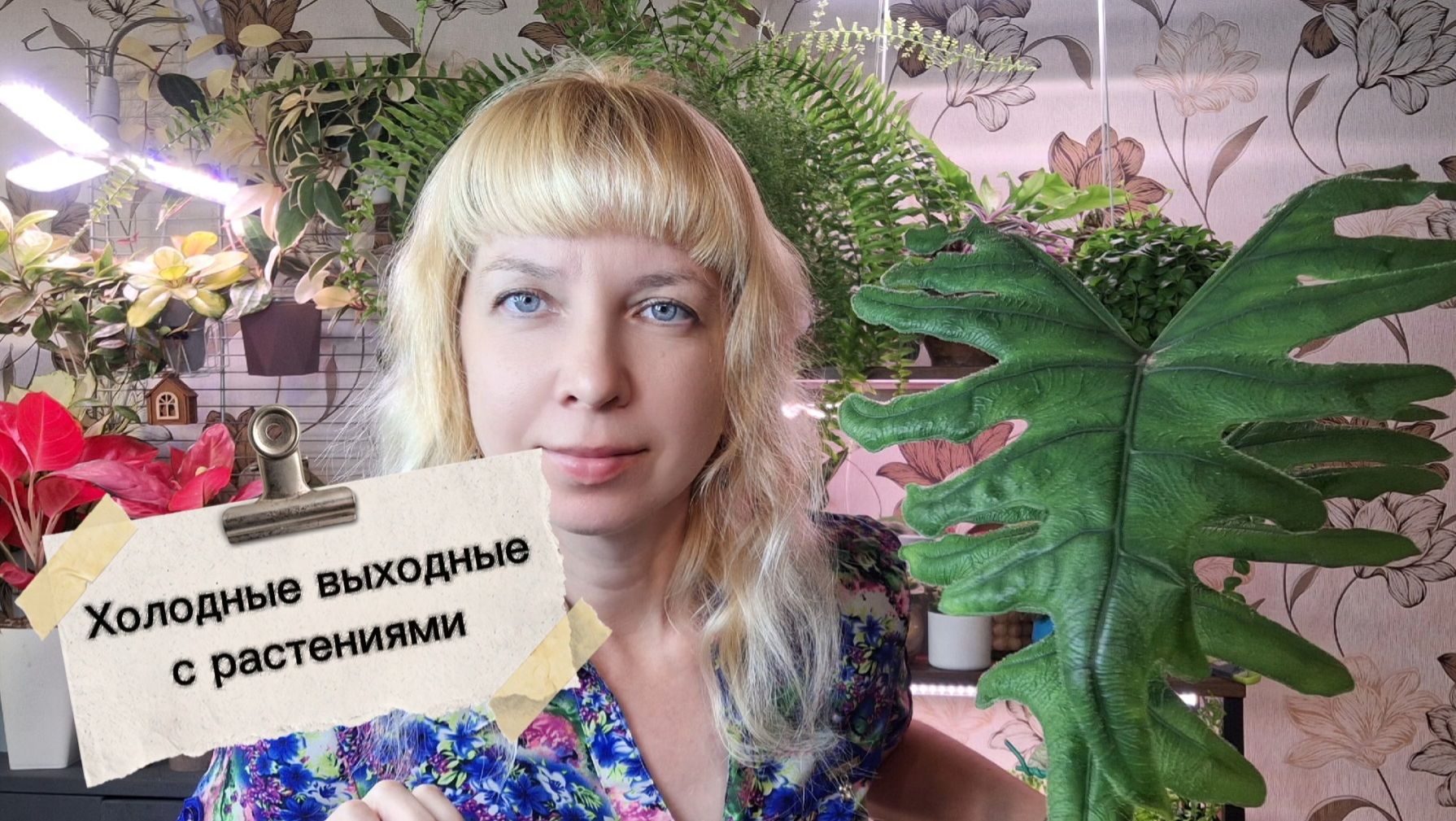 Холодные выходные с растениями: пересадка Жаклин, обзор коллекции