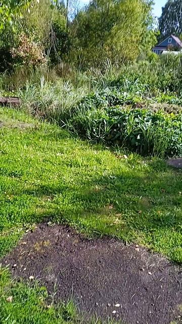 VID_20260827_143758[1]