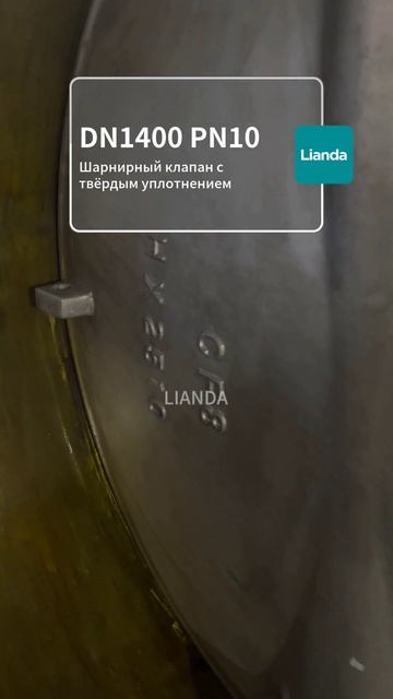 DN1400 PN10 Жесткозапорный дисковый клапан-LIANDA