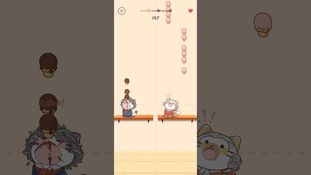 Поющие котики
