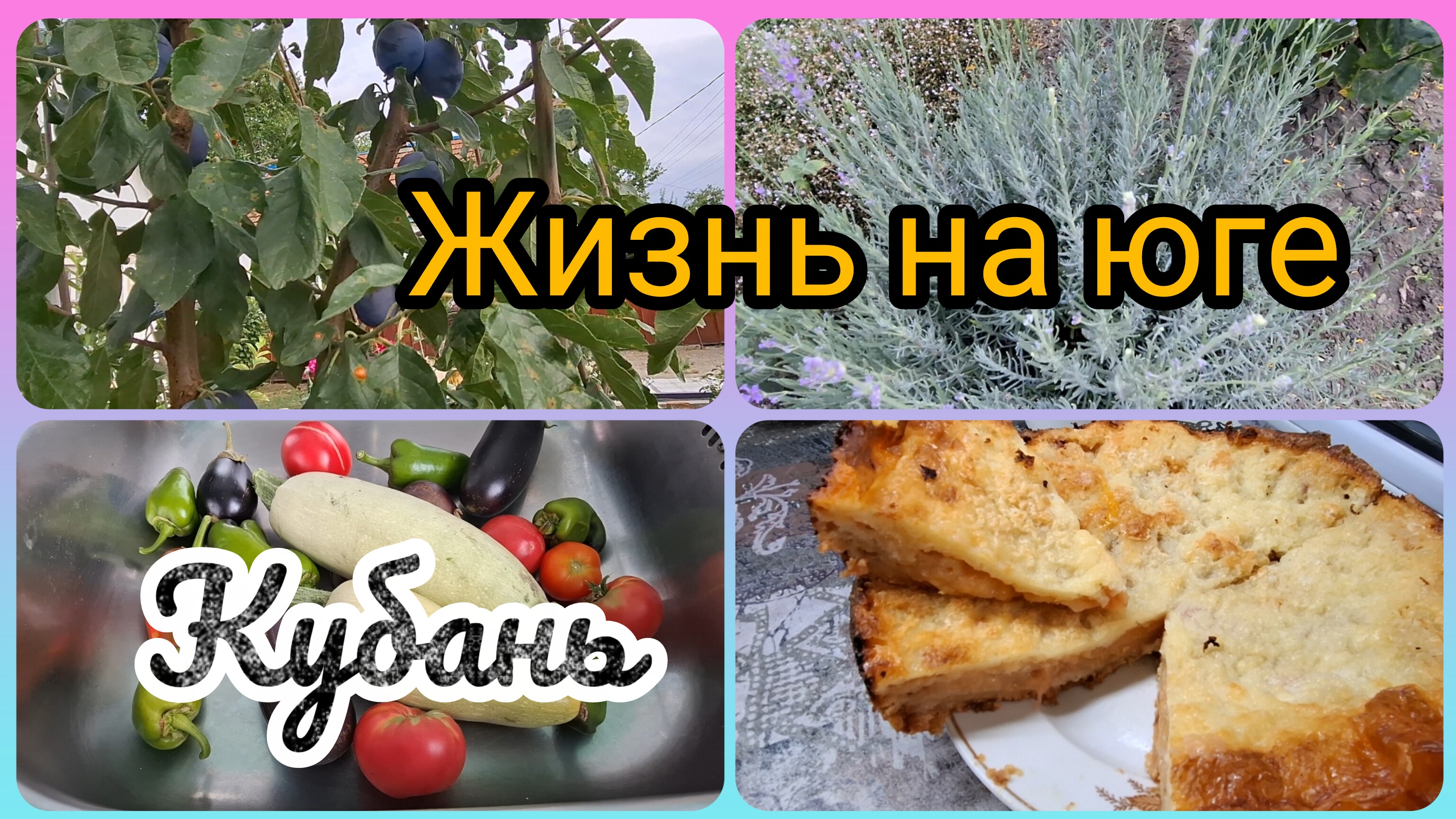 01-09-2026/ Насыпной пирог/ Суп с пшеном/ Виноград созрел/ Живём и работаем на Кубани/ Переезд на юг