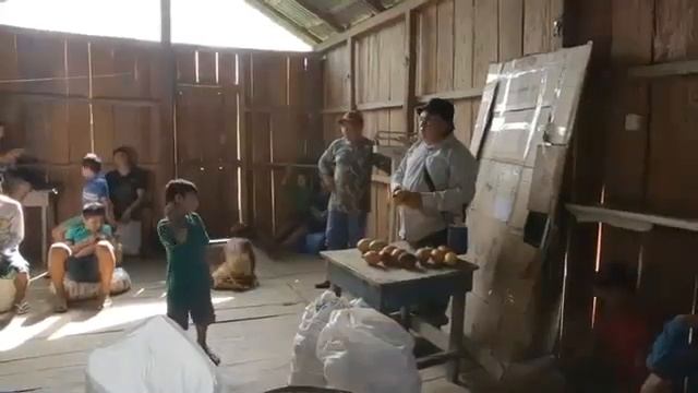 Дикое Лесное тропическое какао Амазонии