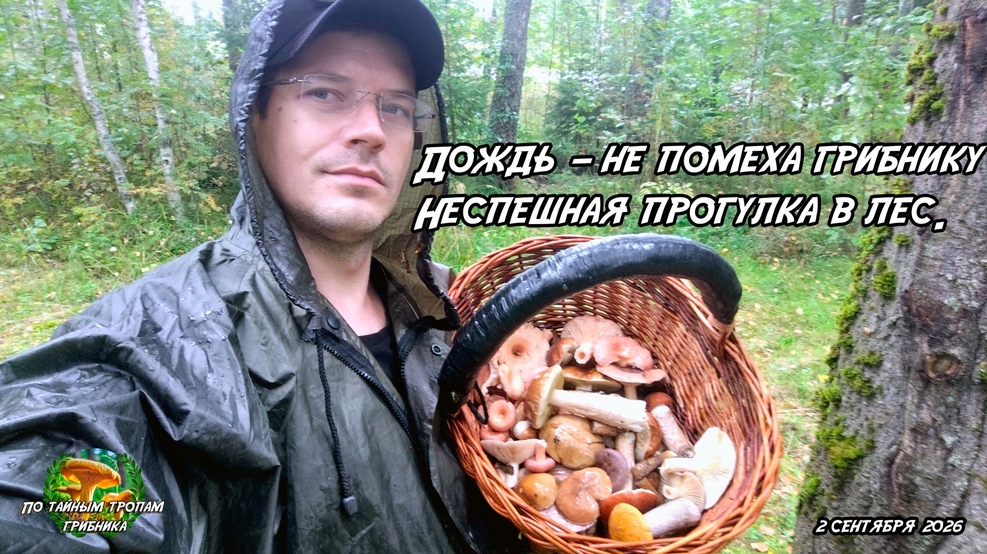 Дождь — не помеха грибнику Неспешная прогулка в лес. 2 сентября 2026