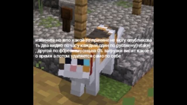¯\_(ツ)_/¯