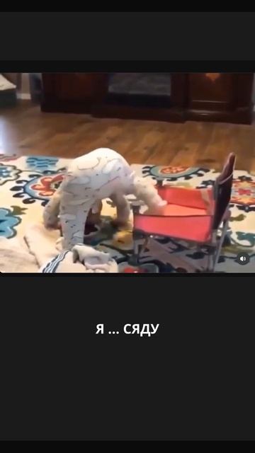 Я ... СЯДУ