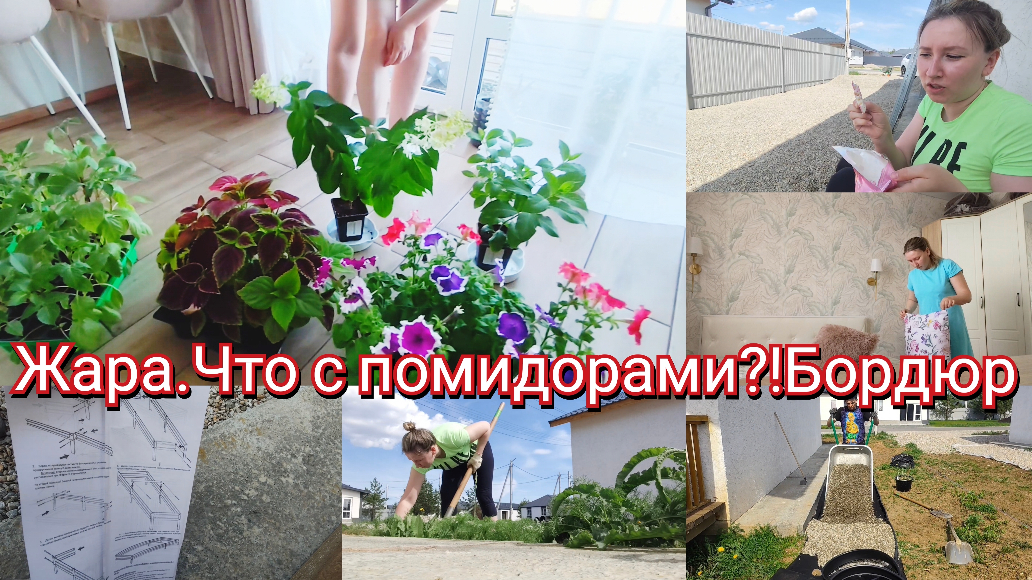 ВЛОГ Жара. Что с помидорами?! Бордюр