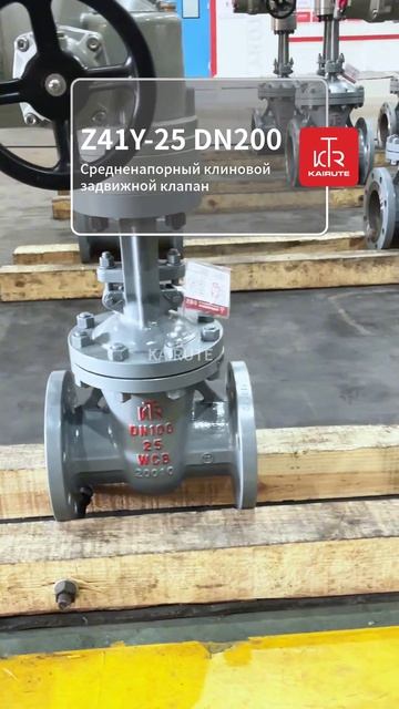 Z41Y-25 DN200 Задвижка клиновая среднего давления-KAIRUTE
