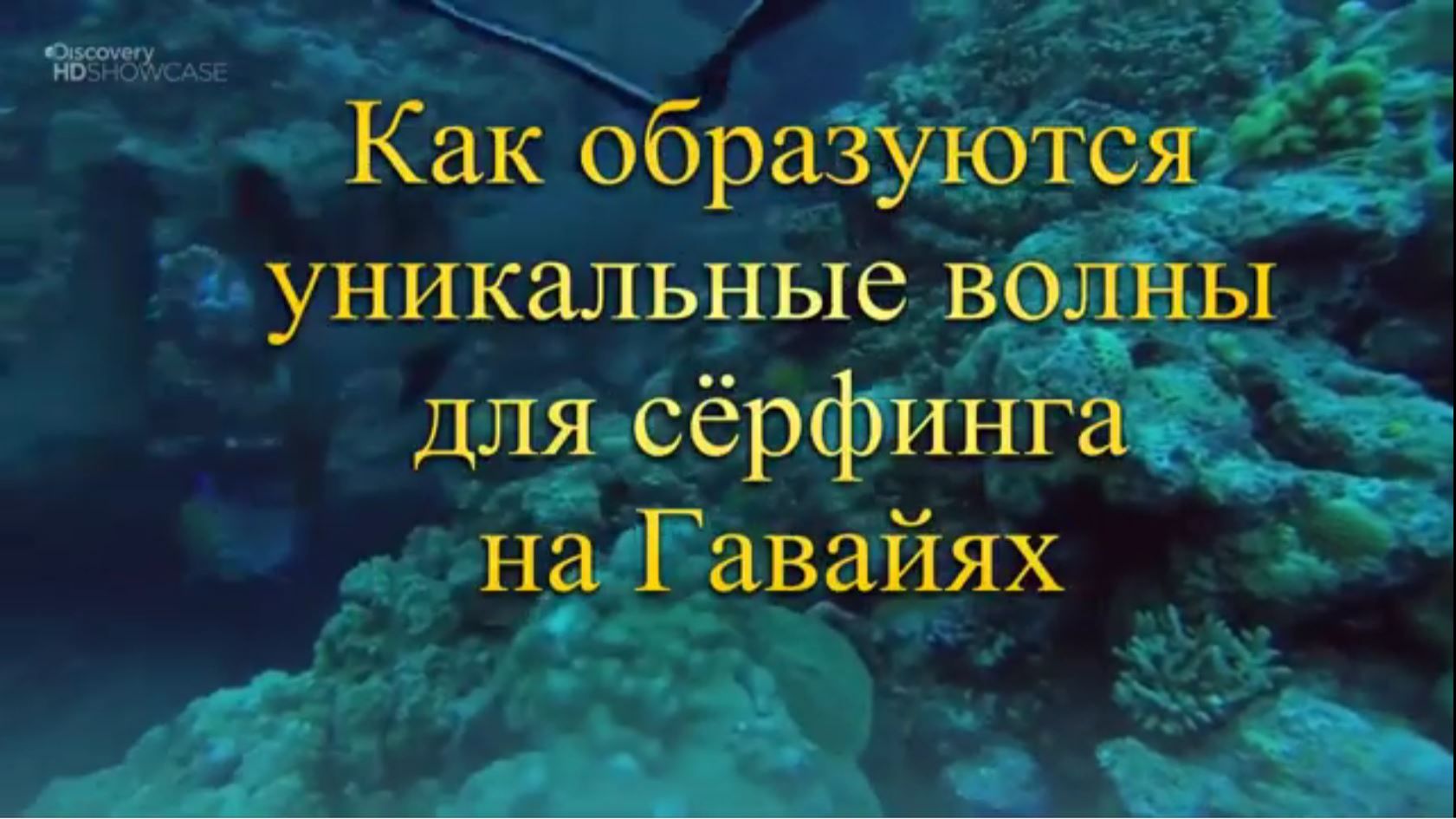 Как образуются гавайские волны для сёрфинга