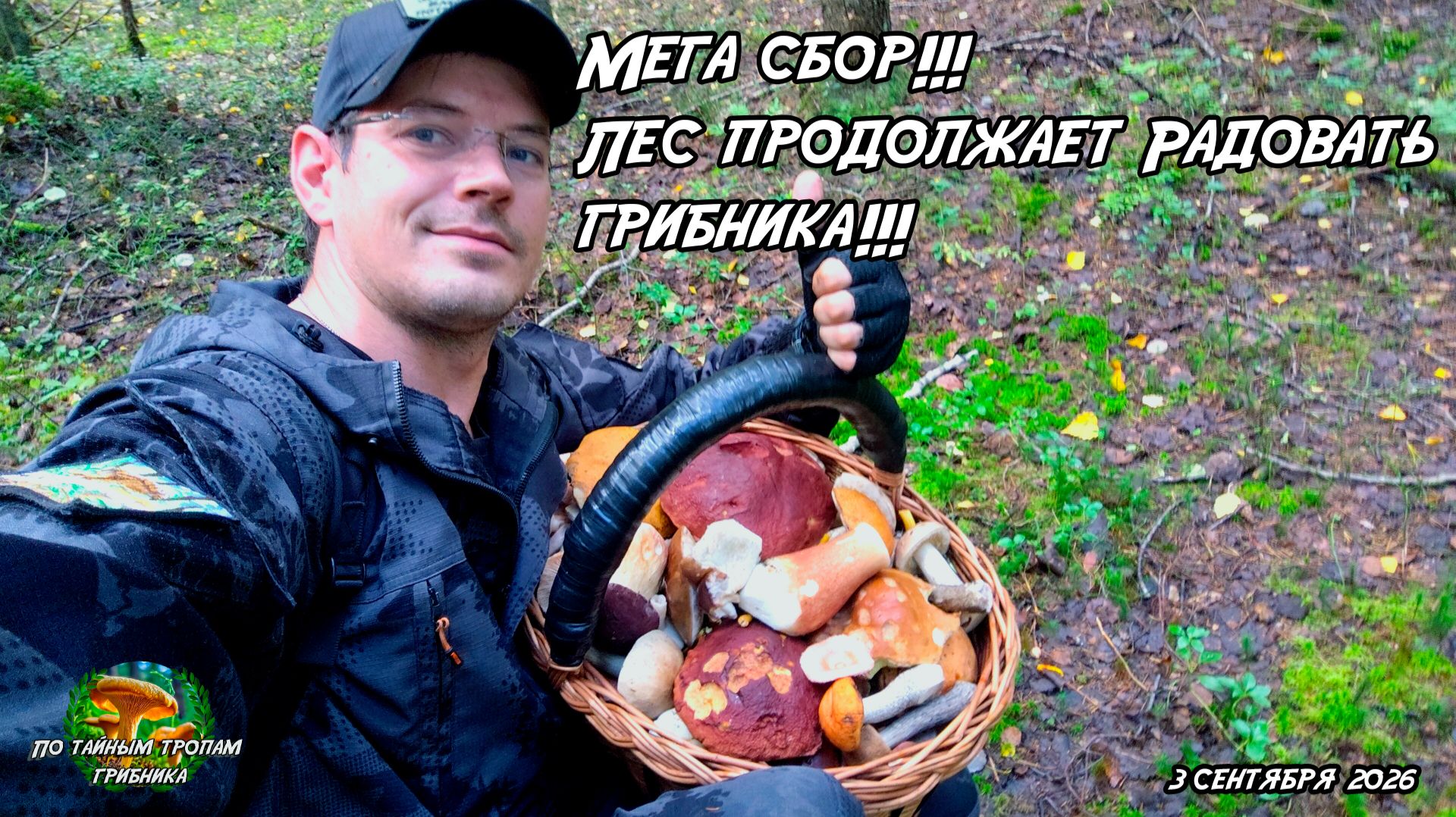 Мега сбор!!!  Лес продолжает радовать грибника!!! 3 сентября 2026