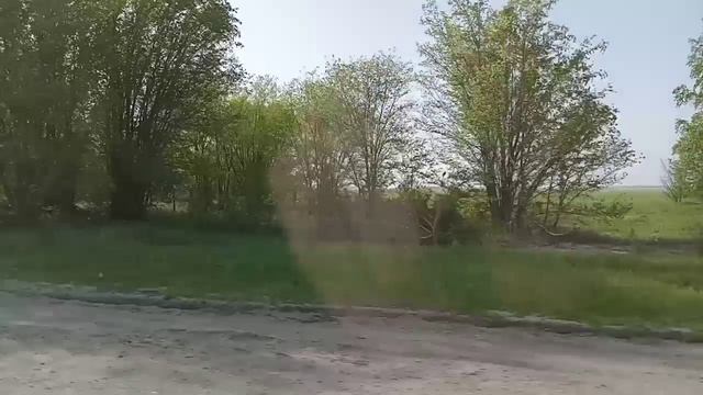 поездка на поезде (3 часть)