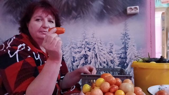 Переработка домашних помидор и огурцов 🍅🥒🍅
