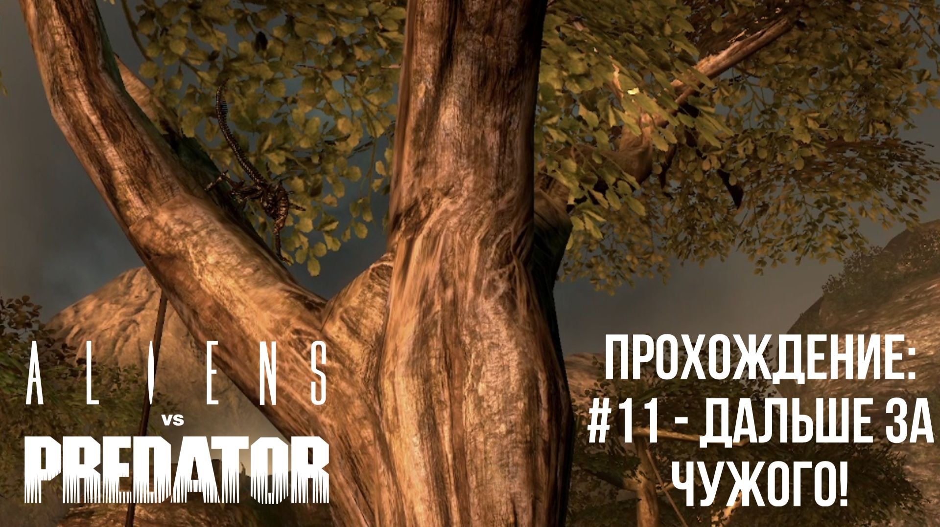 #11 - Дальше за Чужого! // Aliens Vs. Predator // Прохождение