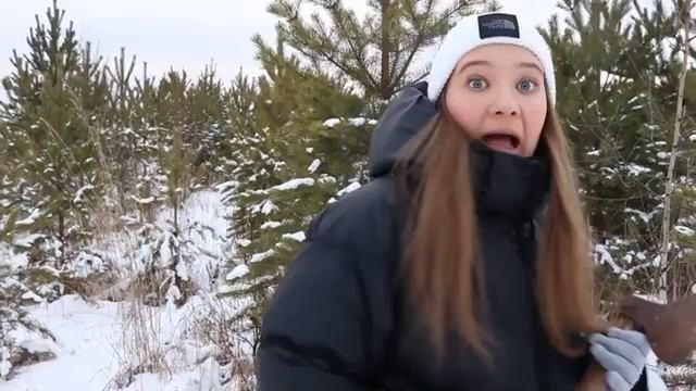 (Анна Гленс) лайфхаки на новый год (перезалив)