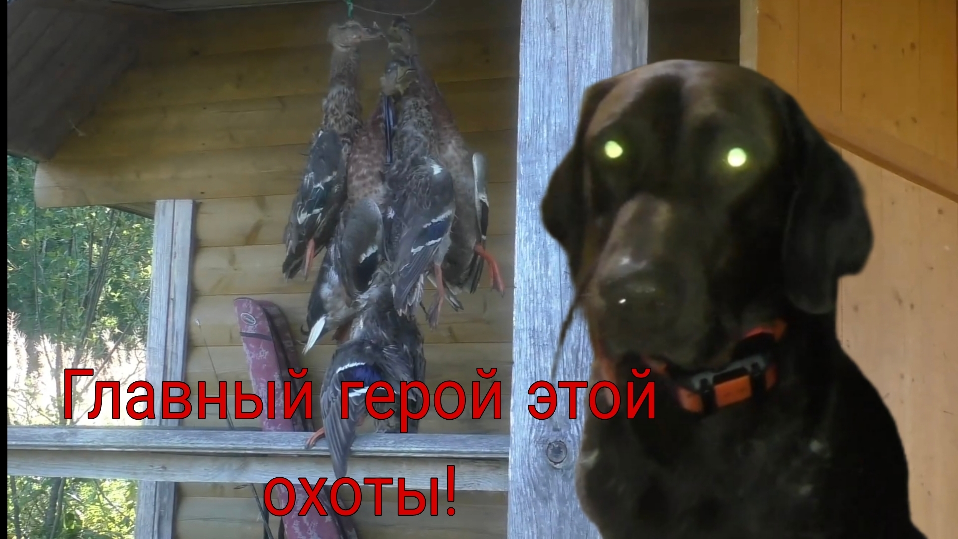 Утки летели со всех сторон! Охота и рыбалка на любимом озере!
