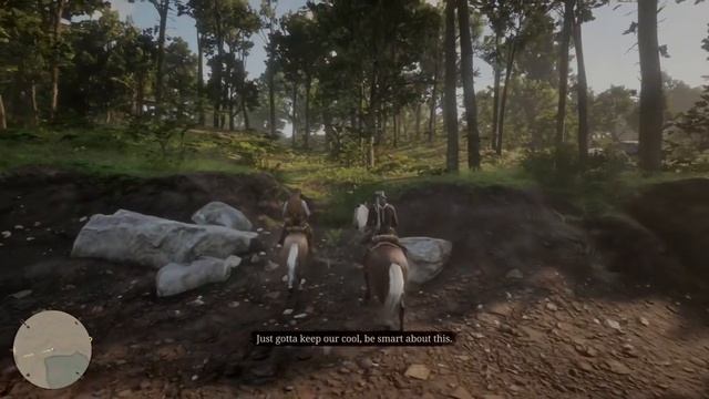 Red Dead Redemption 2 |episode 19 Story Gameplay PS4 Pro