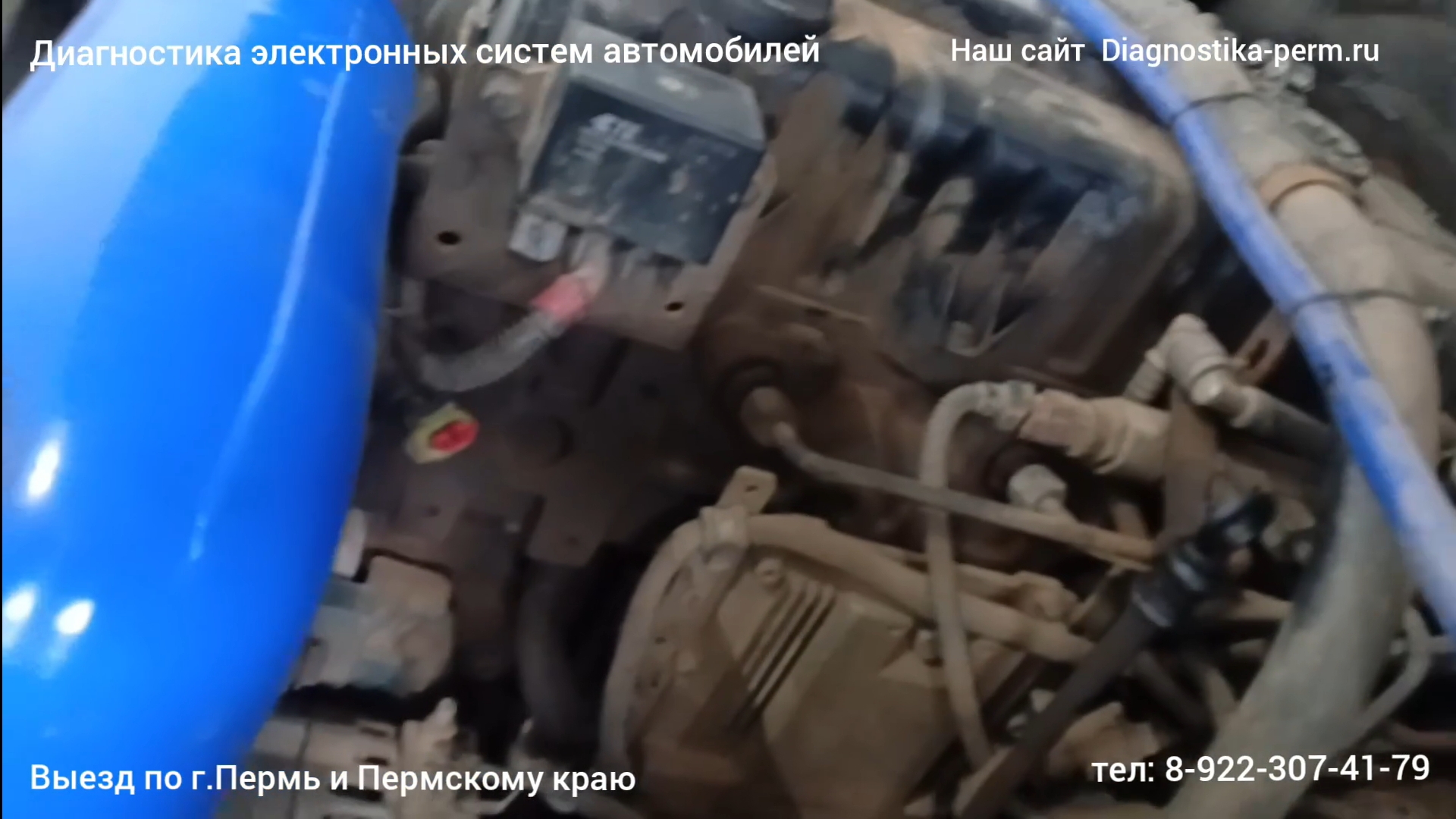 Газон Некст ошибка P0110