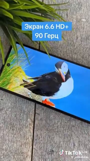 5 апреля 2024 г.