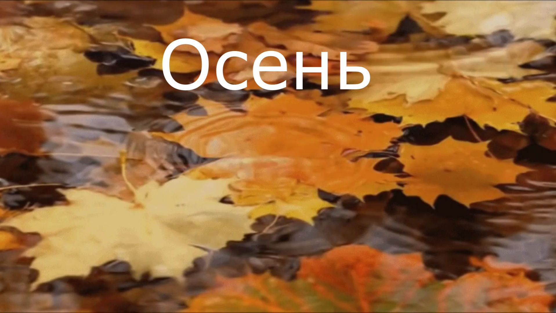Здравствуй осень