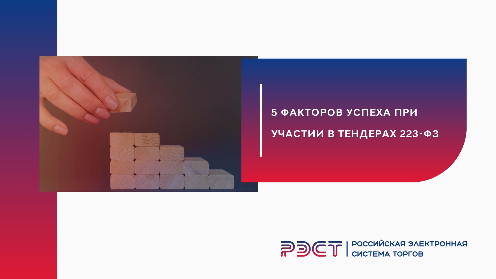 5 факторов успеха при участии в тендерах 223-ФЗ
