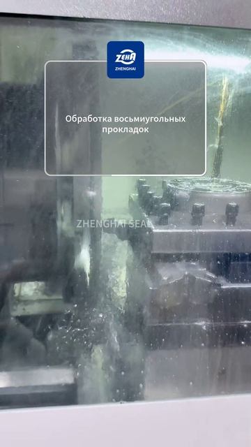 ZHENGHAI SEAL | Производство звездообразных шайб

#звездообразнаяшайба #обработкаметалла #деталик