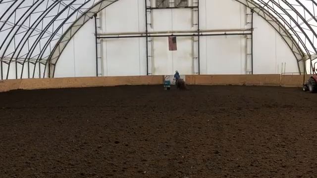 Olivia And Apple Rockin’ A Nice 1D Money Run 10/27/18 (New Ulm)