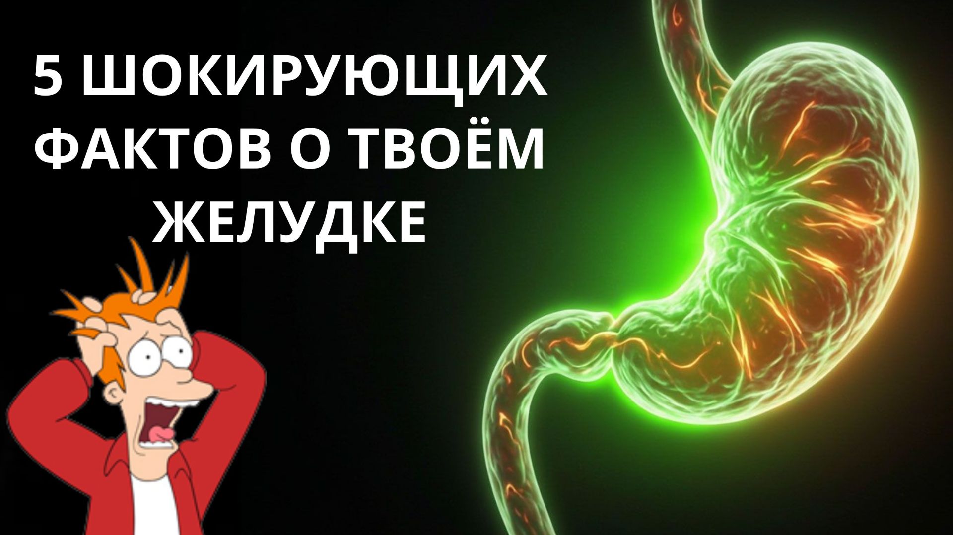 5 фактов о желудке, которые вы не знали. Что на самом деле происходит в вашем желудке.