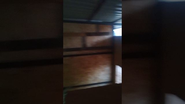 строю теплые помещения для коз
