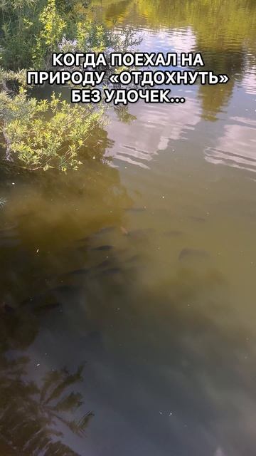 Когда не взял удочку