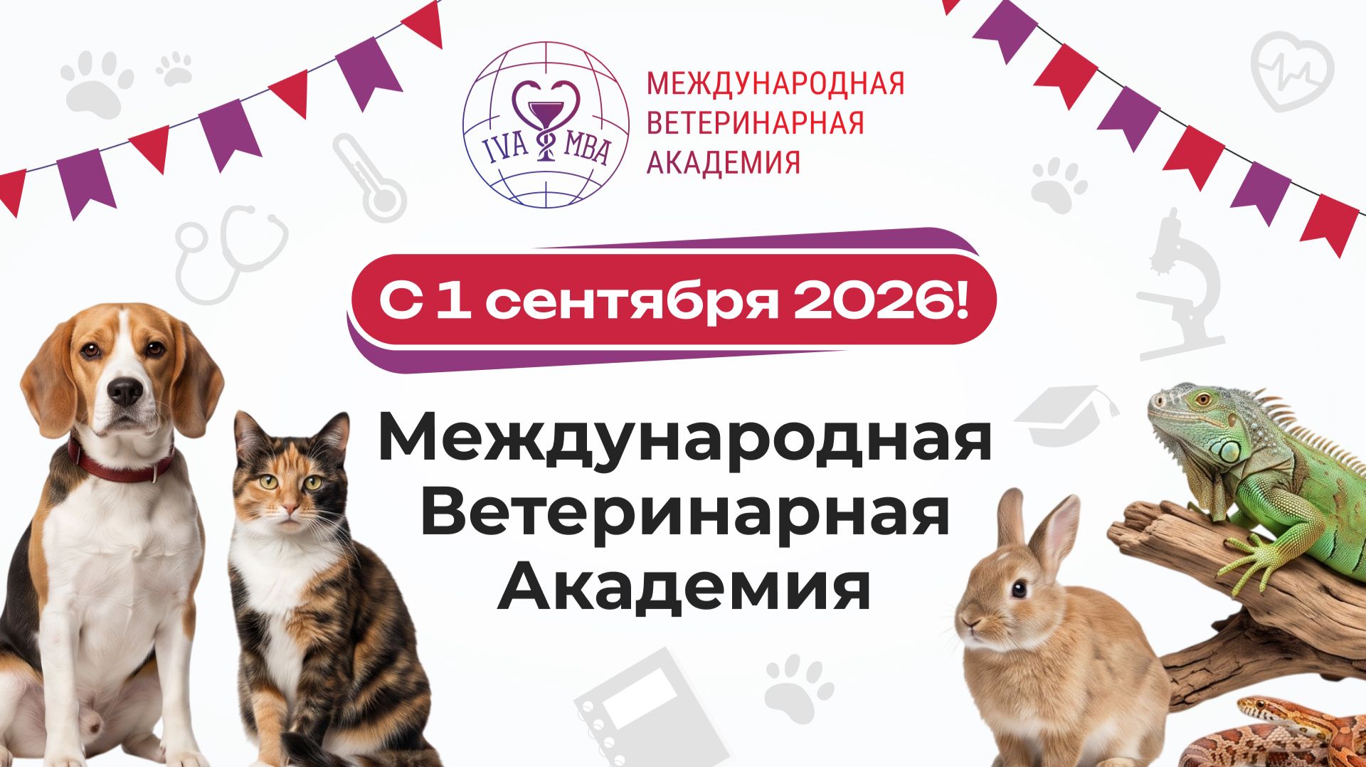 1 сентября 2026г. в Международной Ветеринарной Академии