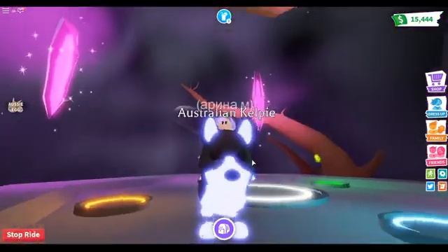 Neon Australian Kelpie | Adopt Me! Roblox