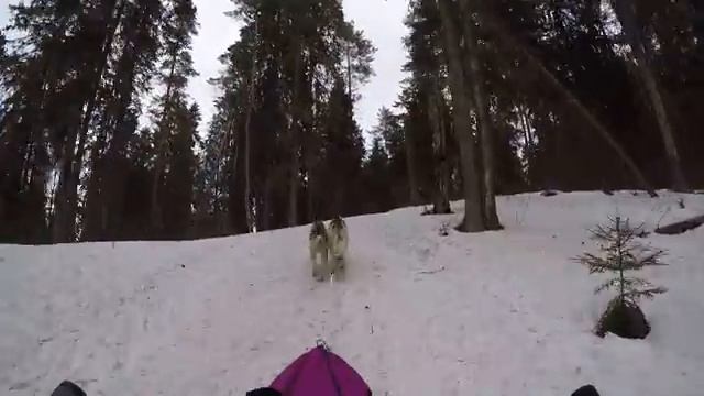 Лемболовский спринт 2016. 2-й этап