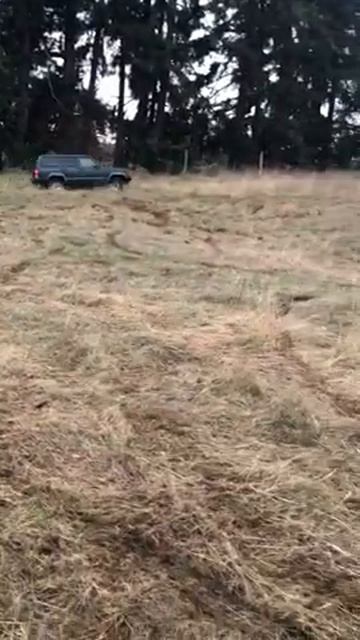 Jeep Cherokee Thrashing
