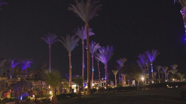 Welcome To Grand Oasis Resort V1 نزهة ليلية صغيرة
