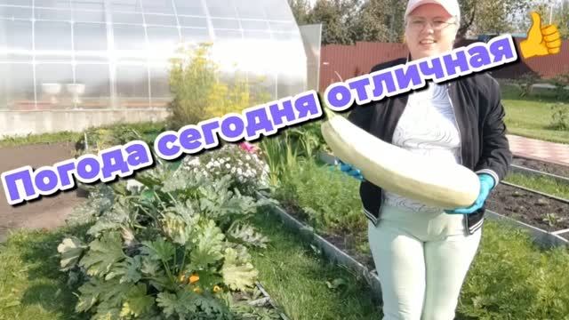 Погода сегодня отличная👍Я на грядках🙂👍