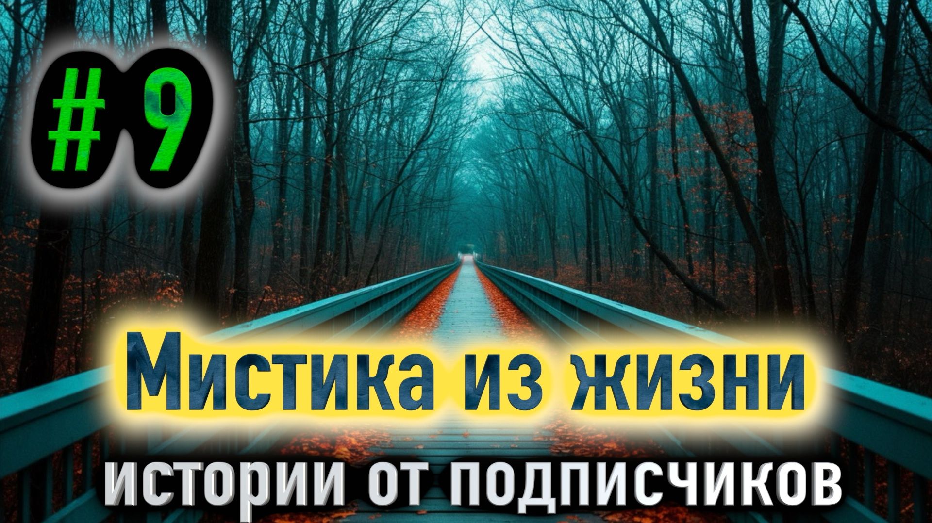 Мистические истории на ночь от подписчиков #9
