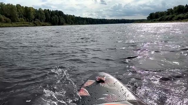 VELOГАйДЫ #223) Вятка Сентября ⛵ Шестаково - Слободской.