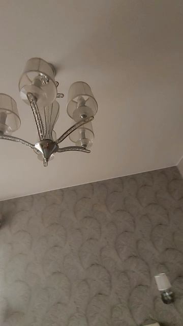 МУРИНО! САНКТ-ПЕТЕРБУРГ) 3 К КВ 105 М2!