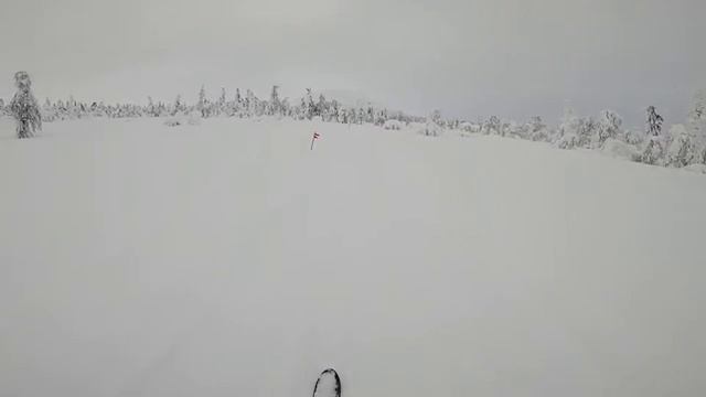 Гора Ослянка. Февраль 2020. Часть 2.