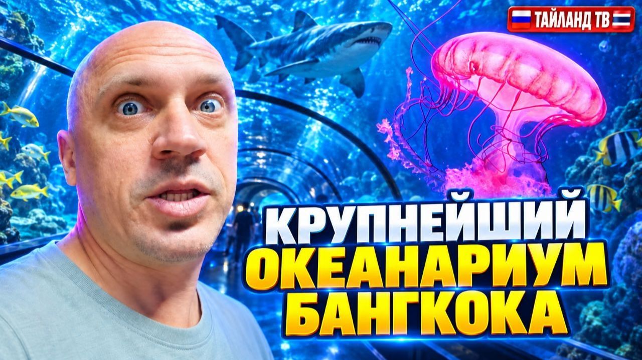 Почему стоит посетить Бангкок Сиам Парагон океанариум Siam Paragon underwaterworld