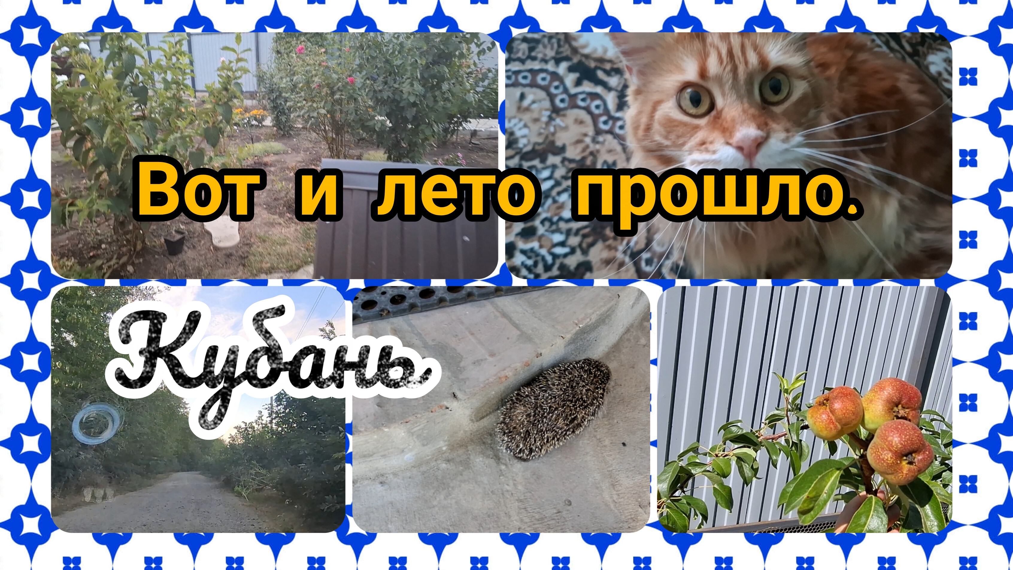 05-09-2026/ Вот и лето прошло 🤗/ Живём и работаем на Кубани/ Жизнь семьи на юге после переезда/