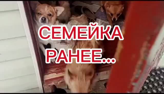 Семейка, выход на прогулку 👀🫣